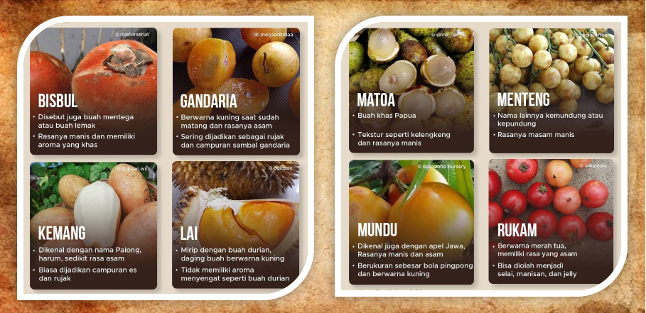 Inilah Buah Asli Indonesia. Apa Saja Khasiatnya